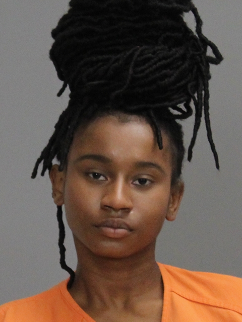 DAVIS, DOMINIQUE ALEXANDRI MECHEL booking photo