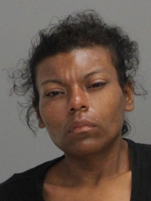 TURNER, ASHLEY RENE booking photo