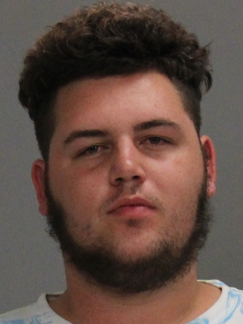 JOHNSON, MICHAEL DALTON booking photo