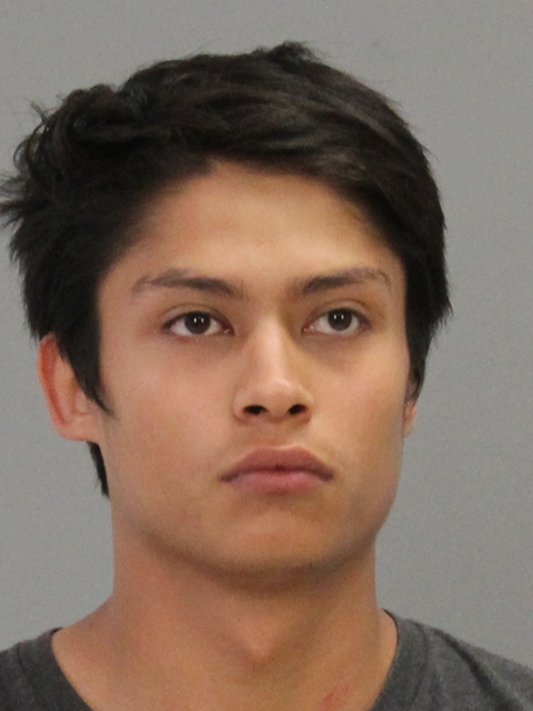 Pedroza, Alan Josue booking photo