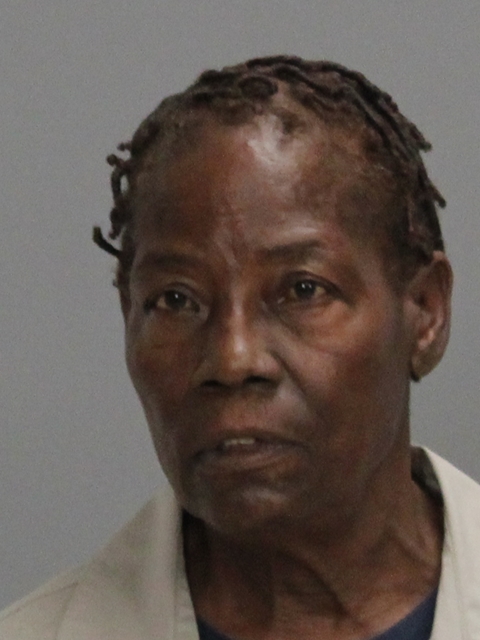 NICHOLSON, DYE ANN booking photo