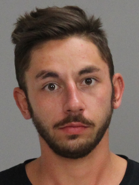 Lee, Colin James Dalton booking photo