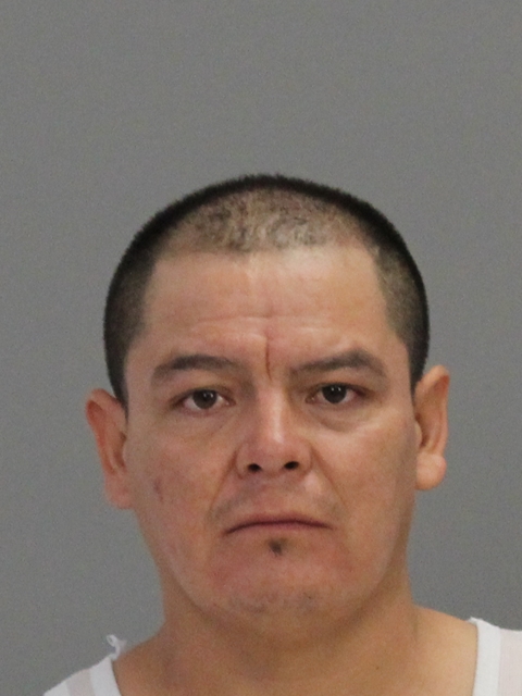 PACHECO-ALCAYA, GERONIMO booking photo