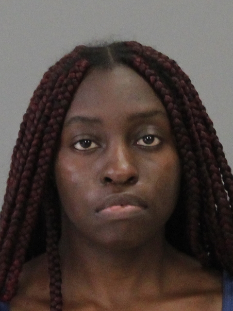 DOUGLAS, PORCELAIN booking photo