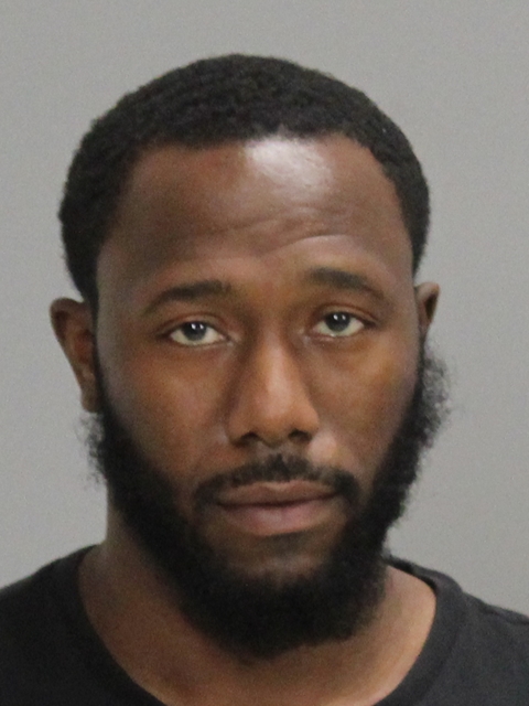 Alston, Paul Calvin, Jr booking photo