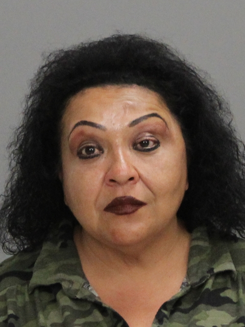 LOPEZ, YOLANDA NAVARRO booking photo