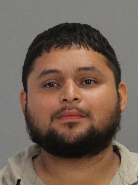 ALVARADO, OSVALDO ALONSO booking photo