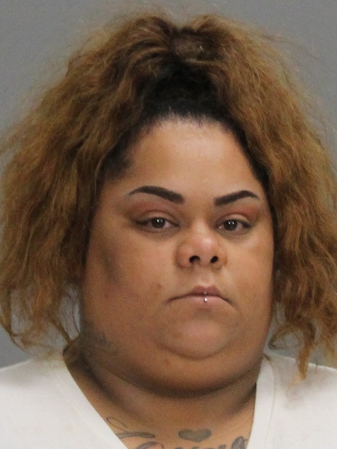 Clark, Pamela Rene booking photo