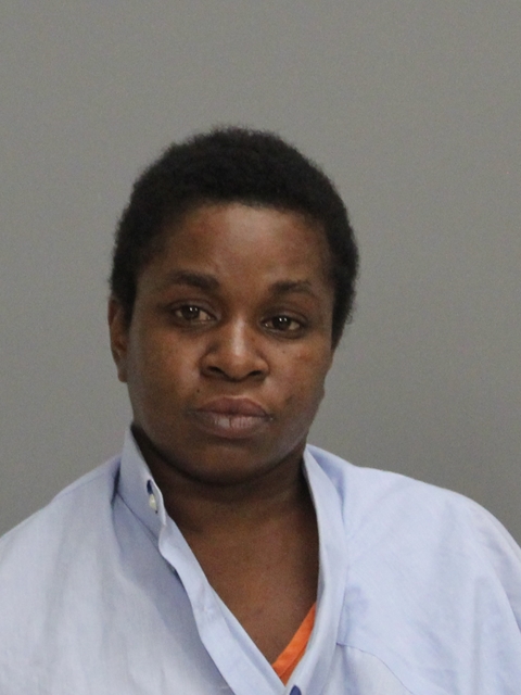 DABNEY, KIMBERLY NICOLE booking photo