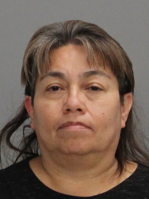 MENDEZ, DORA MOLINA booking photo