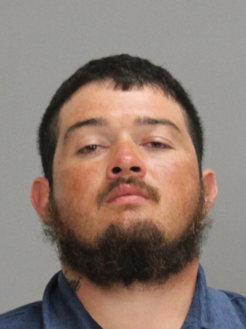 LORTA, DEZIREE ALAN booking photo