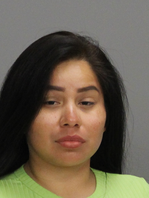 FERNANDEZ, LIZBETH booking photo