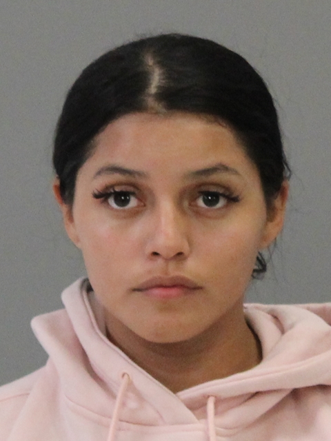 DIAZ, GABRIELA booking photo