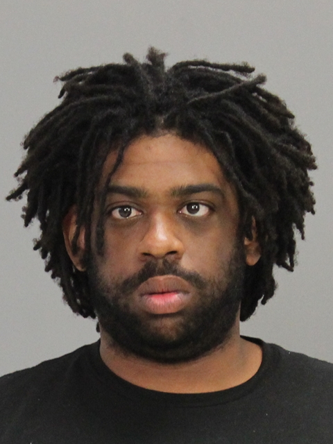 FALLS, ANTHONY JULIUS booking photo