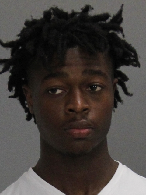 LEE, DEVION SIR CHARLES booking photo