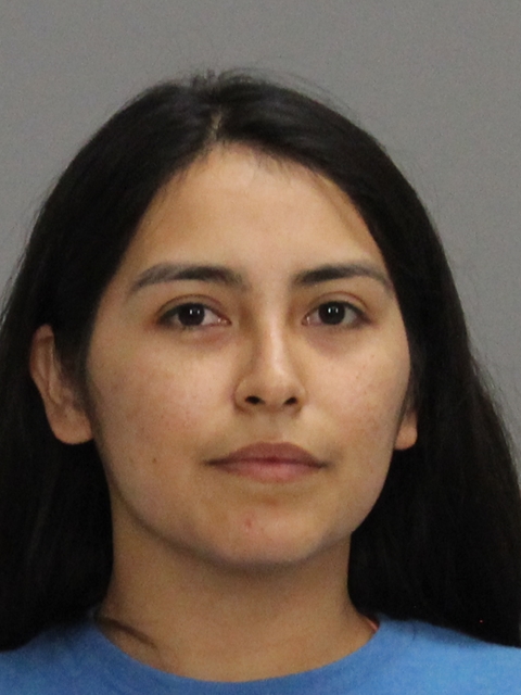 SANCHEZ, ASHLEY MICHELLE booking photo