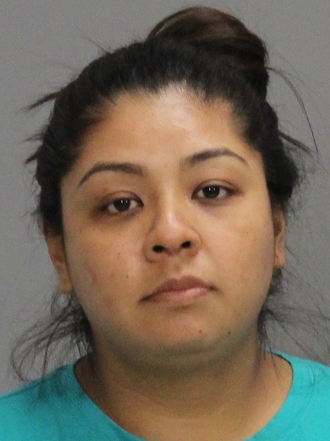 Pineda, Daisy Susseth booking photo