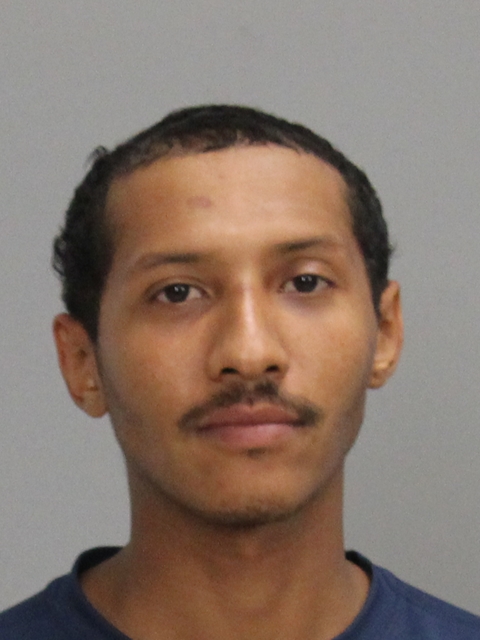 DICKSON, COLLIN MICHAEL booking photo