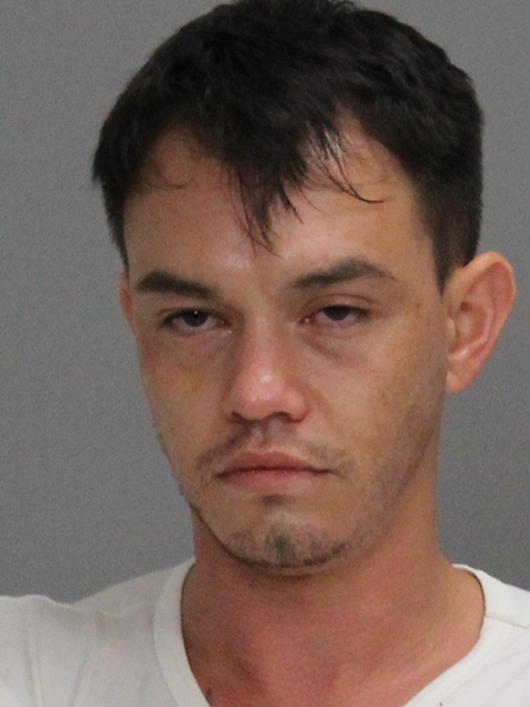 BEAL, NICHOLAS SEBASTIAN booking photo