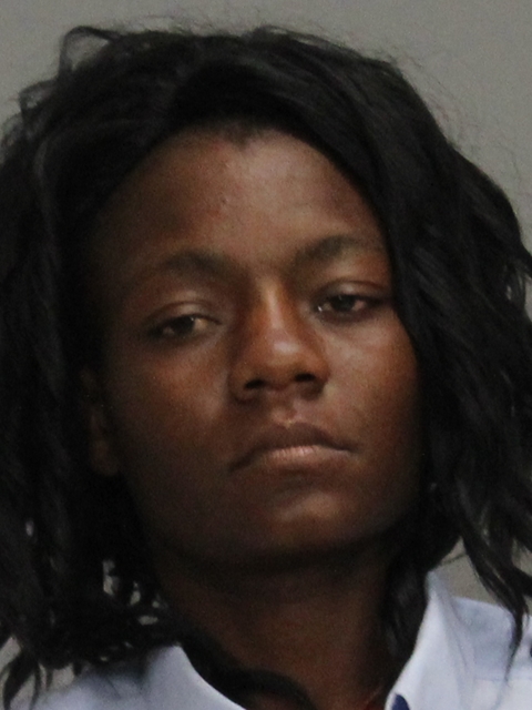 WILLIS, KASHONA DENISE booking photo