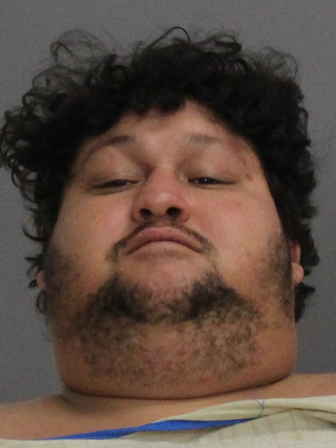 BREWER, LOUIS JAMES booking photo