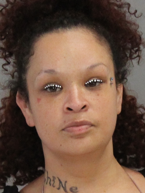FIELDS, CANDICE YVETTE booking photo