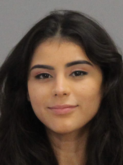 CAREY, ELIZABETH ROSA LYNN booking photo