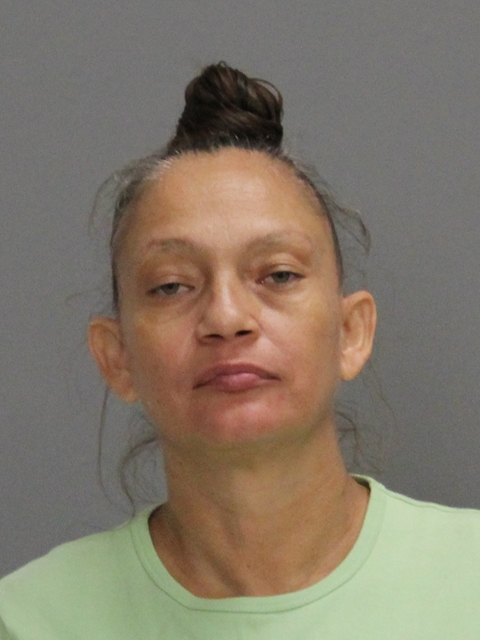 SERVANTES, ANDREA STRADA booking photo