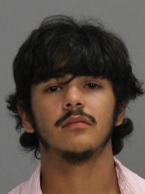 Hollingsworth, Zachary Cole booking photo