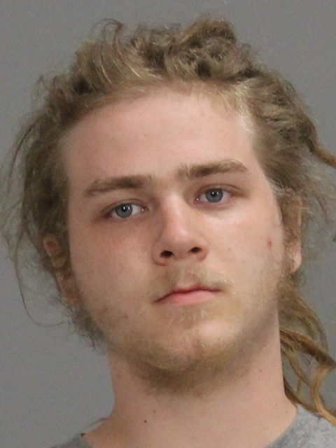 Rose, Bryan Austin booking photo
