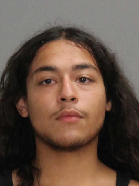 ALMANZA, ROBERT, Jr booking photo