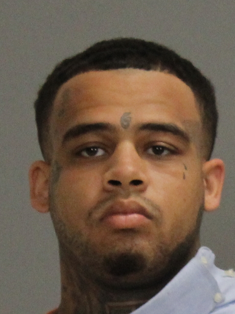 NELSON, THEAPOLIS MAURICE, Jr booking photo