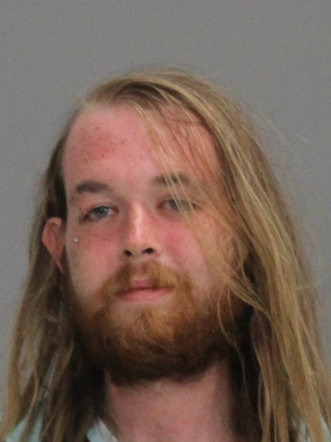 LAUDERBAUGH, DAVID PATRICK booking photo