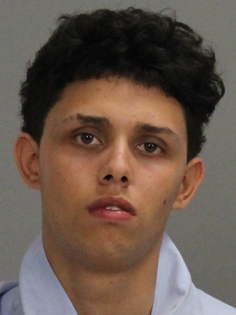 GALVAN, JIMMY LEE, Jr booking photo