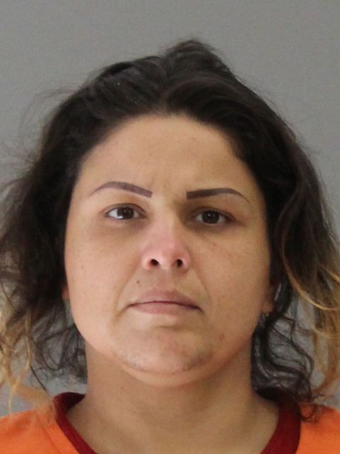 FIGUEROA, STELLA ARELLANO booking photo