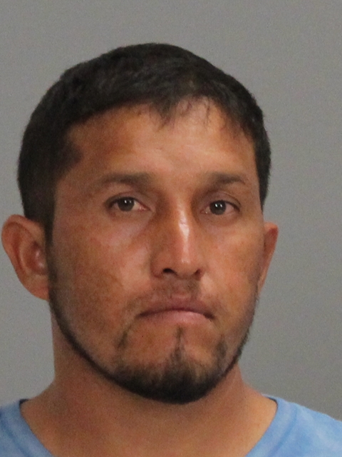 NAVA, EDGAR ERASMO booking photo