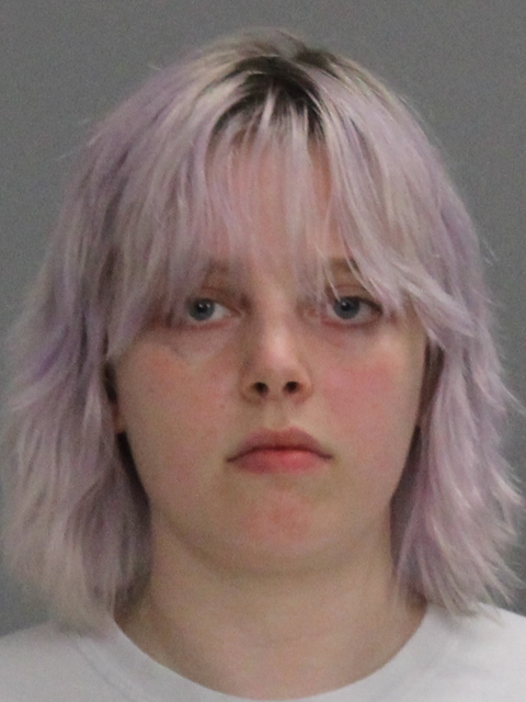 Wildfang, Alexis Renee booking photo
