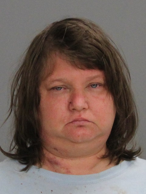 Hicks, Theresa Marie booking photo