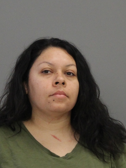 Herrera, Michelle Marie booking photo