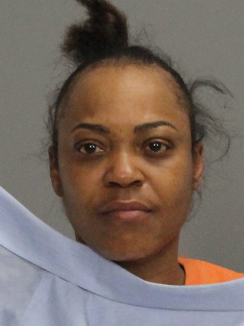 PITTS, WANDA FAYE booking photo