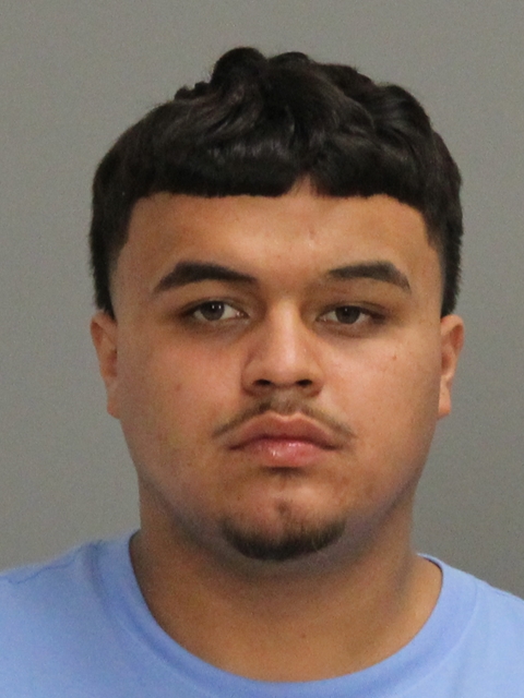 PORTILLO, MICKLO JUSTINO booking photo