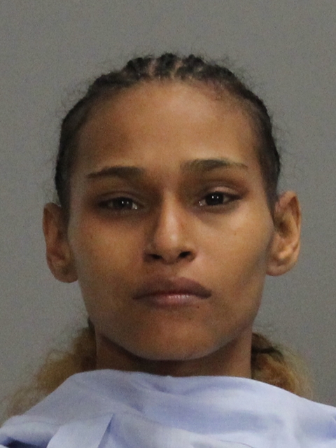 PINEDA, LISA MARIE booking photo