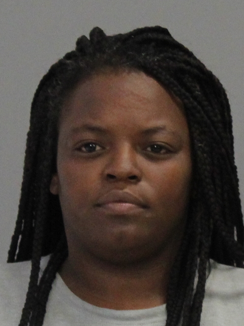 WILLIAMS, ERNESTINE LOUISE booking photo