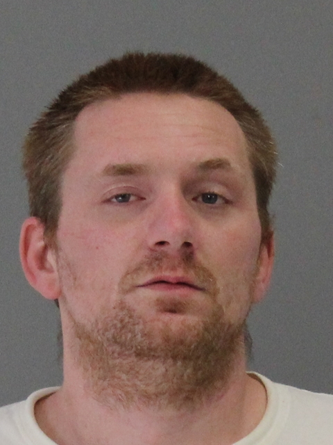 ALLIY, RONALD JAMES booking photo