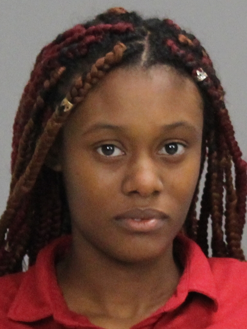 JOHNSON, PRECIOUS DANAE booking photo