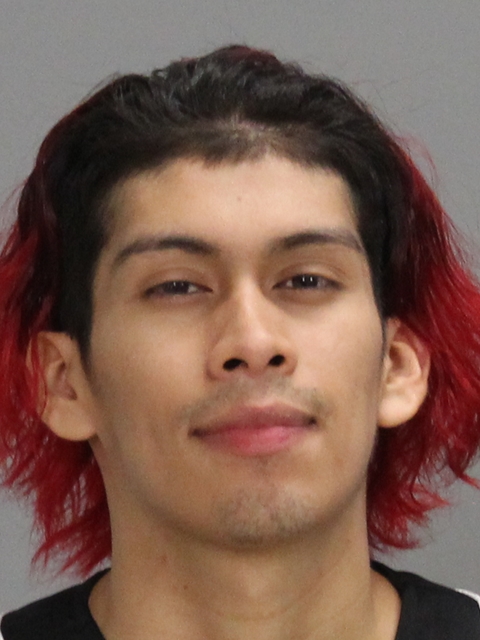 SILVA-GONZALES, CESAR booking photo