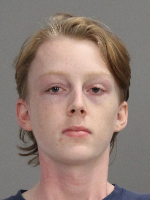 RICHARDSON, WILLIAM SHIRRES arrested by Brazos County SO/PD