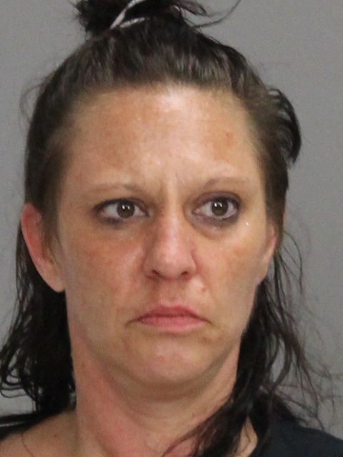 STEPHENSON, ELIZABETH ANN arrested by Brazos County SO/PD