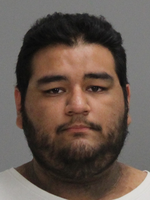 Lara, Adrian Matthew booking photo