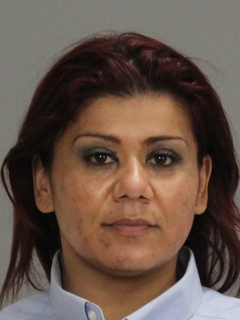 Reyes Garcia, Stephanie Ann booking photo